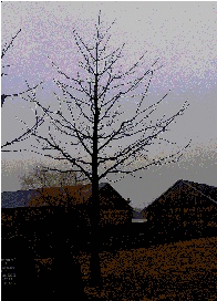 Copyright by Ralf Haetzer, PPP 2002